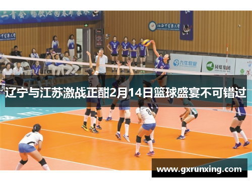 辽宁与江苏激战正酣2月14日篮球盛宴不可错过